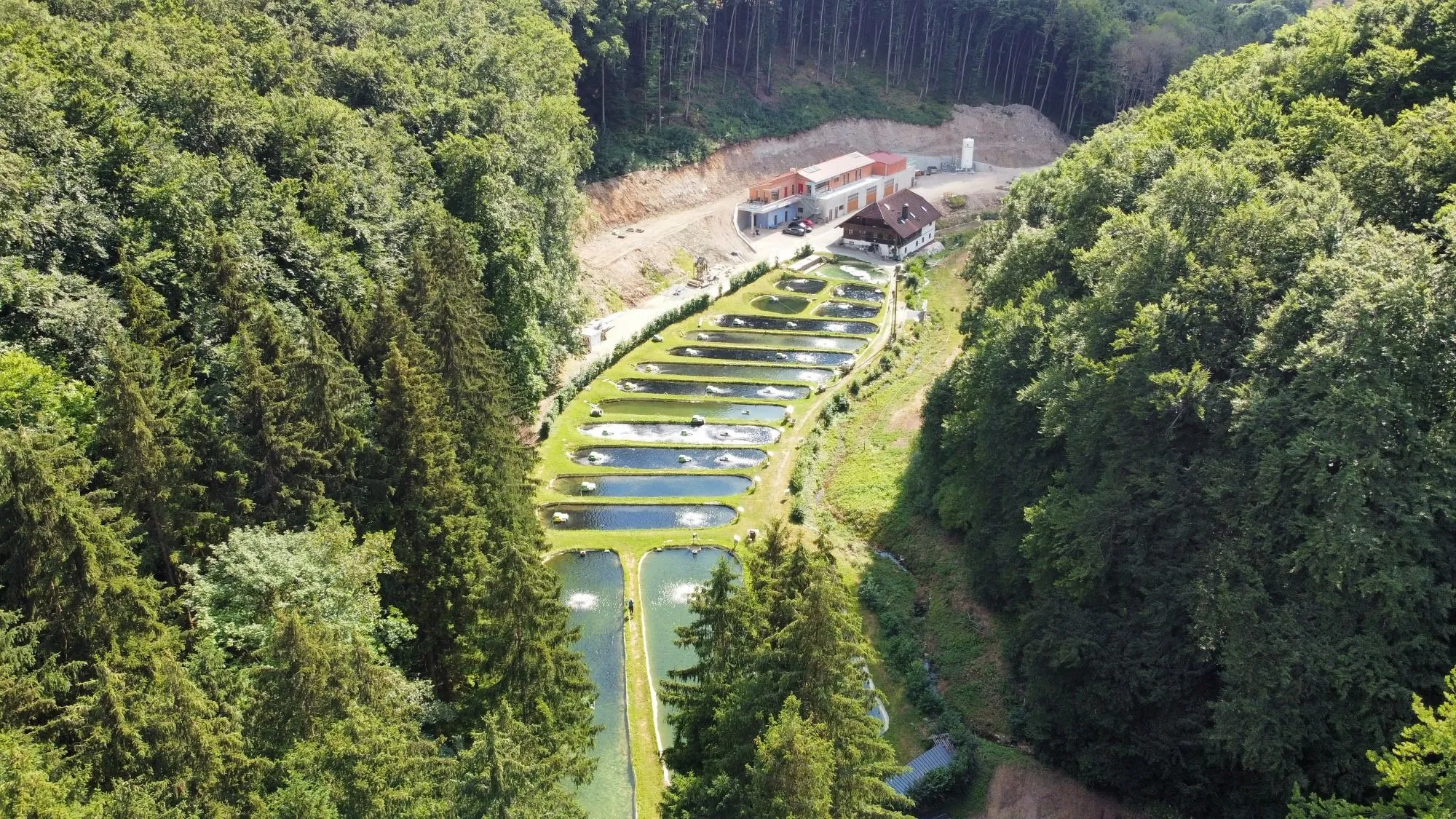 Luftbild der Fischzucht Grasse: eine Kette aus Teichen zieht sich durch ein bewaldetes Tal, oben liegen die Betriebsgebäude.